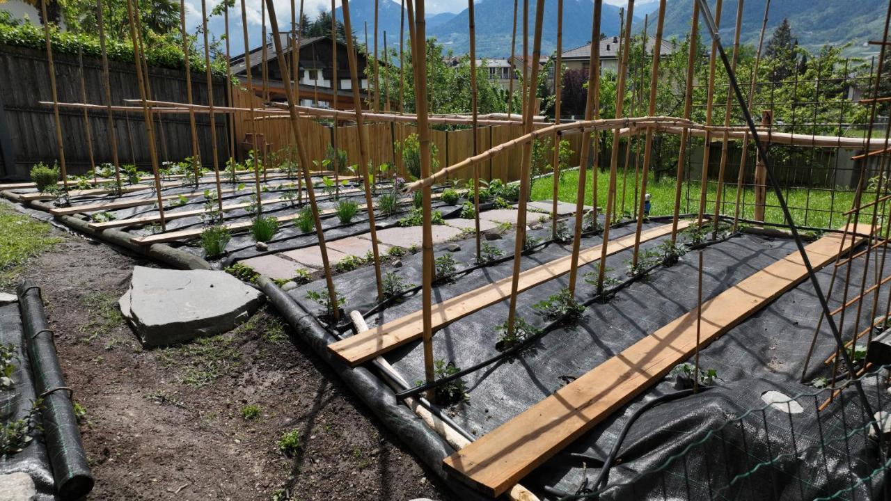 Nora S Home 2 - Panoramic Terrace & Bio Garden Merano Bagian luar foto