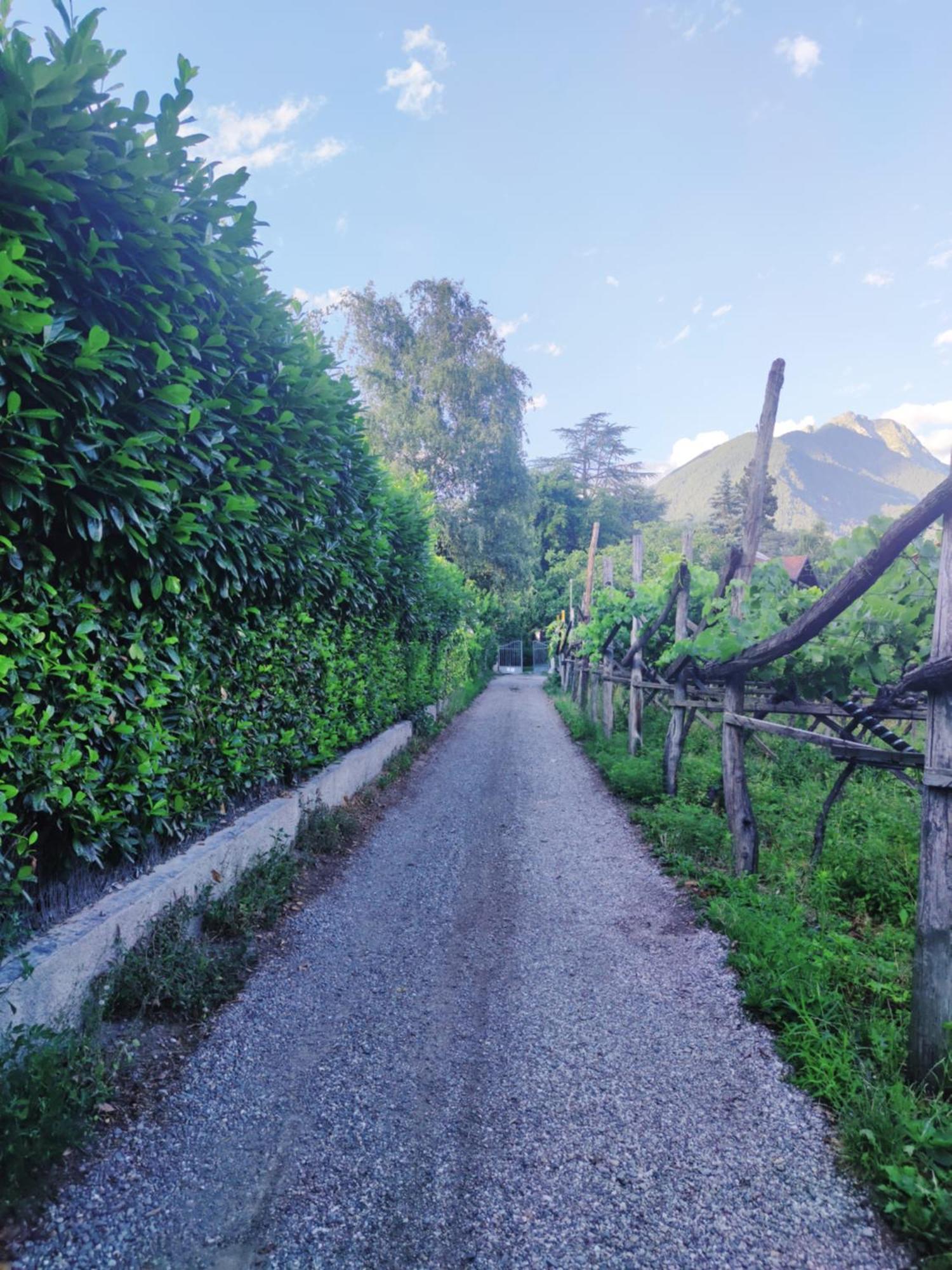Nora S Home 2 - Panoramic Terrace & Bio Garden Merano Bagian luar foto